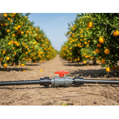 1" (32 mm) threaded PVC ball valve