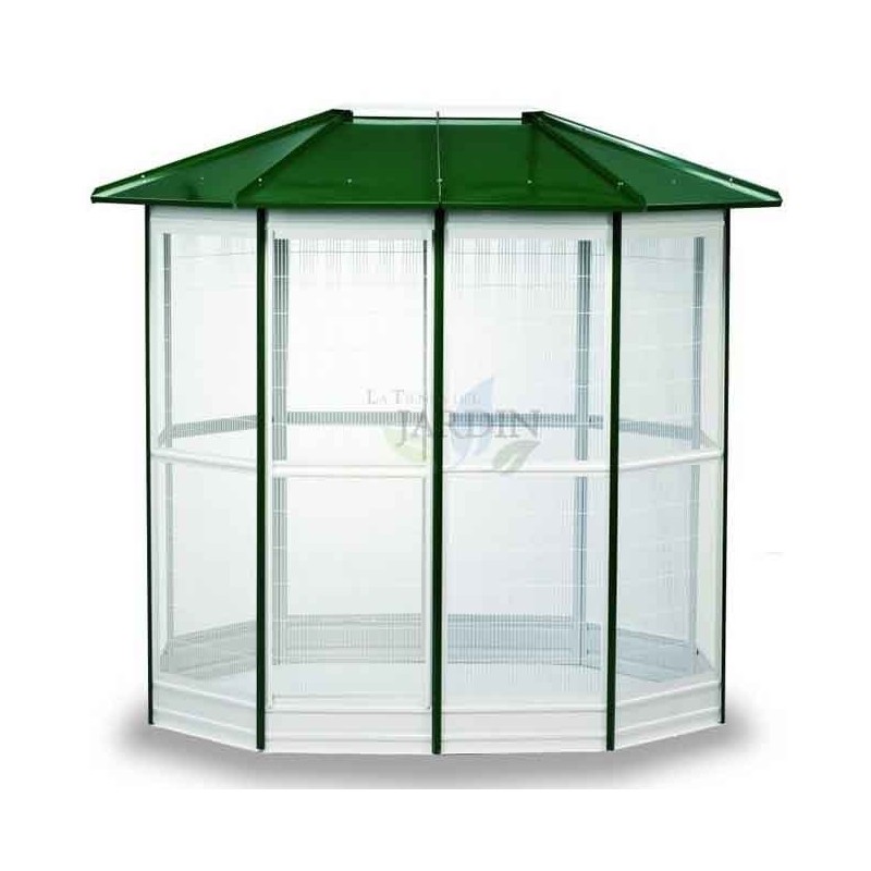 Gabbia voliera a 10 lati 294x155 cm