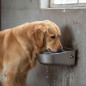 Bebedero Perro Automatico | Bebedero para Perro Grande | Bebedor de Agua para Perros 20x24x10cm | Bebedero Inoxidable Pared