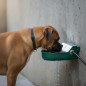 Abreuvoir automatique en aluminium peint pour chiens. 20 x 22 x 10 cm. Niveau d'eau constant. Peut être fixé au mur