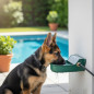Bebedero Perro Automatico | Bebedero para Perro Grande | Bebedor de Agua para Perros 19x22x9cm