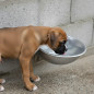 Trinkbrunnen für Hunde und Tiere aus Aluminium mit konstantem Wasserstand, 18,5x22x9 cm. Kann an der Wand befestigt werden