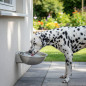 Trinkbrunnen für Hunde und Tiere aus Aluminium mit konstantem Wasserstand, 18,5x22x9 cm. Kann an der Wand befestigt werden