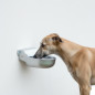 Aluminum automatic drinker for dogs 20x22x10 cm Aluminum automatic drinker for dogs 20x22x10 cm