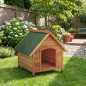 Wooden gabled doghouse
