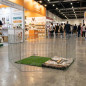 Cage à chien. Parc hexagonal pour expositions. Taille 80 x 60h cm
