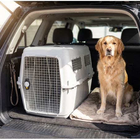 Porteur de Chien XL 73x102x77 cm. Boîte de Transport pour Chiens et Chats en plástique, Caisse de Transport Cage de transport