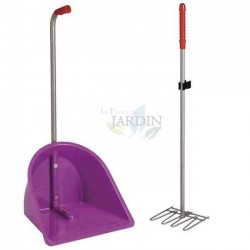 Manure collector with rake