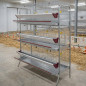Bateria para Gallinas Ponedoras 9 Compartimentos para 45 Gallinas, Jaulas para Ponedoras, 154x70x185 cm