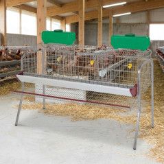 Batteria per 15 Galline ovaiole in 6 reparti 155x70x95 cm. Protezione anti-spreco. Mangiatoia in lamiera laccata.