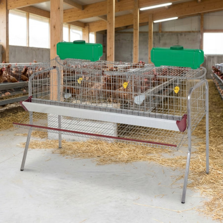 Legehennen-Stall mit 3 Fächern, ideal für 15 Hühner, Käfige für Legehennen in Batterieform, 155x70x95 cm