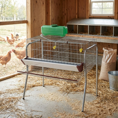 Battery for 10 laying hens in 2 departments 155x70x95 cm