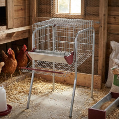 Batteria per 5 Galline ovaiole in 1 reparti 56x70x95 cm. Protezione anti-spreco. Mangiatoia in lamiera laccata.