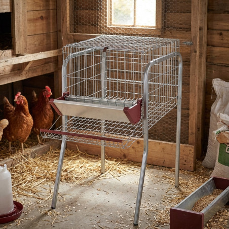 Batterie des Poules Pondeuses idéal pour 5 Poules, Cages pour poules pondeuses en batterie, 56x70x95 cm