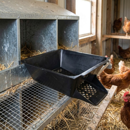 Poneduro per Galline, 26 x 34 x 12 cm. Vassoio per pPosa Galline di Plastica adatto per adattarsi al suolo
