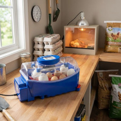 Lumia 8 eggs automatic incubator