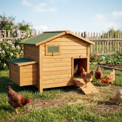 Berlin wooden chicken coop 136x90x99 cm