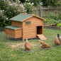 Berlin wooden chicken coop 136x90x99 cm