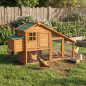 Gallinero de madera Amsterdam 195x77x105 cm | Caseta para gallinas con corral y nido grande | Con puertas independientes