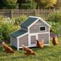 Wooden chicken coop France 119x77x98 cm