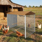 Cercadinho para aves 150x80x110 cm | Habitat ideal para galinhas, pássaros e aves | Durável e versátil