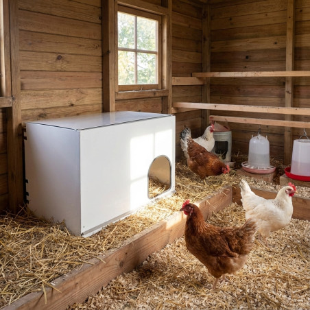 Innennest für Hühner 78x40x50 cm mit Herausnehmbarem Tablett | Schutz für Vögel, Weißes Avicope Nest für Hühner