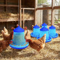 Set di 5 Mangiatoie per Uccelli e Galline | Capacità 2 kg | 25x25x34 cm | Plastica Resistente | Colore Blu