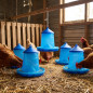 Set di 5 Mangiatoie per Uccelli e Galline | Capacità 2 kg | 25x25x34 cm | Plastica Resistente | Colore Blu