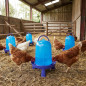 Set di 5 Abbeveratoi per Galline 8 Litri | 32x37 cm | Plastica Resistente | Ideale per Terreno o da Appendere | Con Piedi | Blu