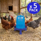 Chicken drinker 8 liters blue. 