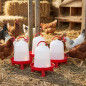 Bebedouro para Galinhas de 8 Litros 32x37 cm | Pacote com 5 Bebedouros para Aves | Bebedouros para Fazenda | Bebedouros para Ani