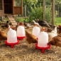 Bebedouro para Galinhas de 8 Litros 32x37 cm | Pacote com 5 Bebedouros para Aves | Bebedouros para Fazenda | Bebedouros para Ani