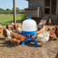 Bebedero para Gallinas 30 litros Plastico con Patas 46x72 cm | Bebedero para 15-18 Aves de corral | Bebederos para Granja