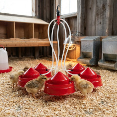 Cinq Abreuvoirs poulpe à suspendre 15x15x9 cm. abreuvoirs à niveau constant pour les poussins du premier âge, etpour chaque abre