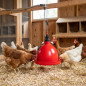 Distributeur Automatique Suspendu pour Poules et Poussins | 35x35x35 cm | Système à Cloche | Installation et Nettoyage Faciles |