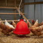Distributore Automatico Appeso per Galline e Pulcini | 35x35x35 cm | Sistema a Campana | Facile Installazione e Pulizia | Rosso
