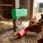 Kit Bebedero Automático para Gallinas y Palomas 7 Litros | 50x12x13 cm | Incluye Depósito, Bebedero, Tubería Flexible 25m