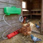 Kit Bebedouro Automático para Galinhas e Pombos, 7 Litros | 50 x 12 x 13 cm | Inclui Tanque, Bebedouro e Tubo Flexível de 25 m