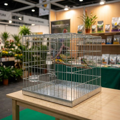 Gabbia da Esposizione per Uccelli con Porta 60x60 cm | Gabbia in Metallo per Uccelli | Lamiera Zincata | Facile da Pulire