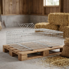 Cage Métallique pour Transport de Lapins 73x52x20 cm | Résistante | Empilable | Idéale pour les lapins et les petits animaux