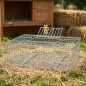 Cage Métallique pour Transport de Lapins 73x52x20 cm | Résistante | Empilable | Idéale pour les lapins et les petits animaux