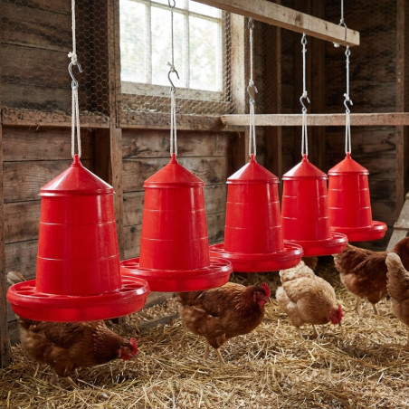Comedouro de plástico para galinhas, 2 kg, 24 x 24 x 29,5 cm, vermelho