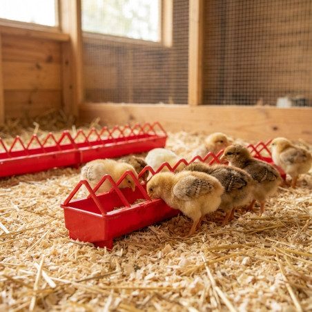 Plastic feeder Chicks 100 cm Wide Grid