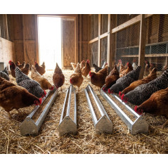 Comedero de Metal para Gallina | Rejilla de 100x10x13 cm | Antidesperdicio con Molinete Giratorio | Ideal 24 Pollos