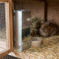Alimentador de ração para coelhos com 1 furo