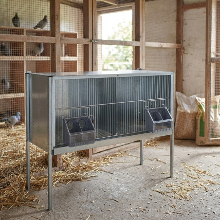 Jaula para palomas galvanizada 2 departamentos 101x45x75 cm | Jaula para palomas grandes | Jaula con patas aves