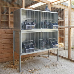 Jaula para palomas galvanizada 4 departamentos 100x45x136 cm | Jaula para palomas grandes | Jaula con patas aves