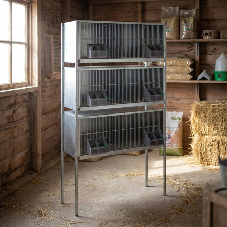 Jaula para palomas galvanizada 6 departamentos 100x45x169 cm | Jaula para palomas grandes | Jaula con patas aves