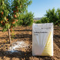Concime Sulfato Ammonico Nitrofoska 21% da 25kg | Concime per Colture | Ideale per Alberi da Frutto | Azione Immediata