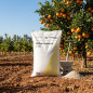 Concime Sulfato Ammonico Nitrofoska 21% da 25kg | Concime per Colture | Ideale per Alberi da Frutto | Azione Immediata